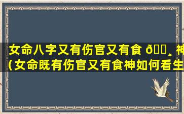 女命八字又有伤官又有食 🌸 神（女命既有伤官又有食神如何看生儿生女）